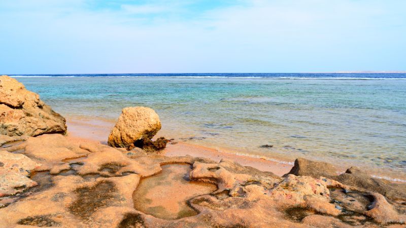 Sharm El Sheikh Turu Otelden Geç Çıkışlı THY ile