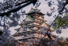 Sakura Dönemi Japonya & Kore Turu Mistik Rotalar THY ile