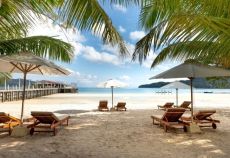 Elegant Bangkok & Phuket Turu THY ile