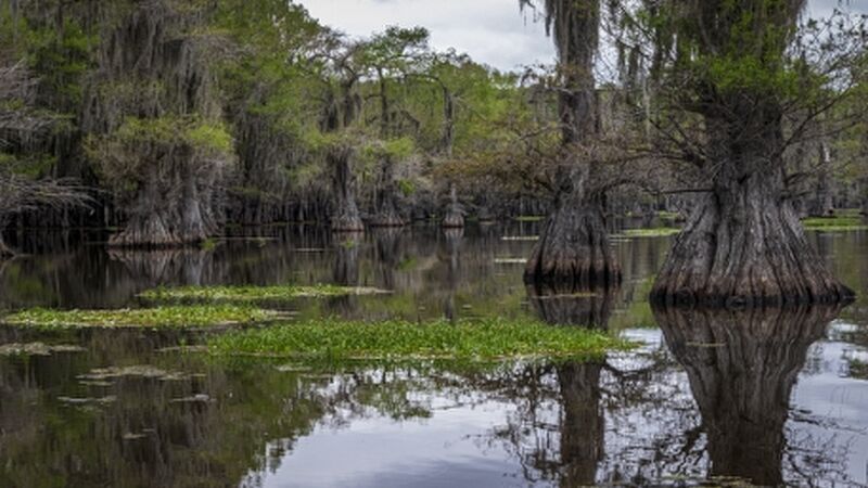 Yılbaşı Özel Miami & Orlando Turu Kıyı Rotaları THY ile