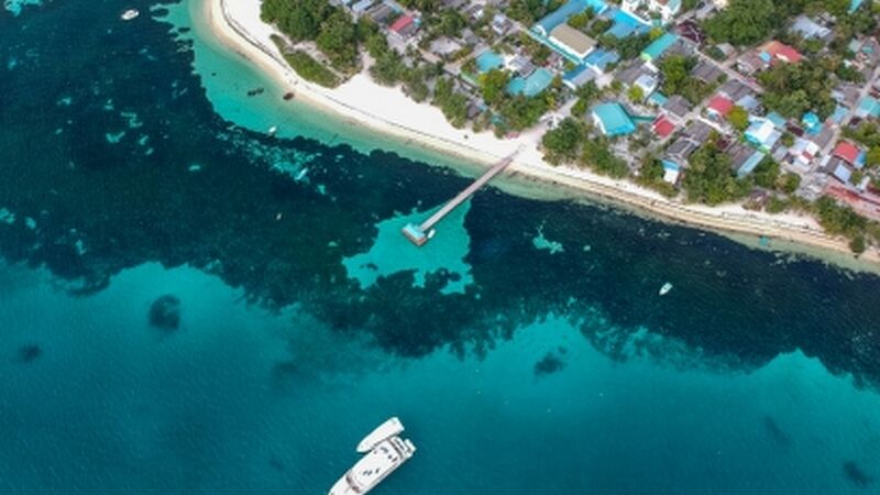 Miami & Orlando Turu Kıyı Rotaları THY ile