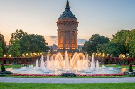 Ren Nehrinde Noel Pazarları Charter THY ile