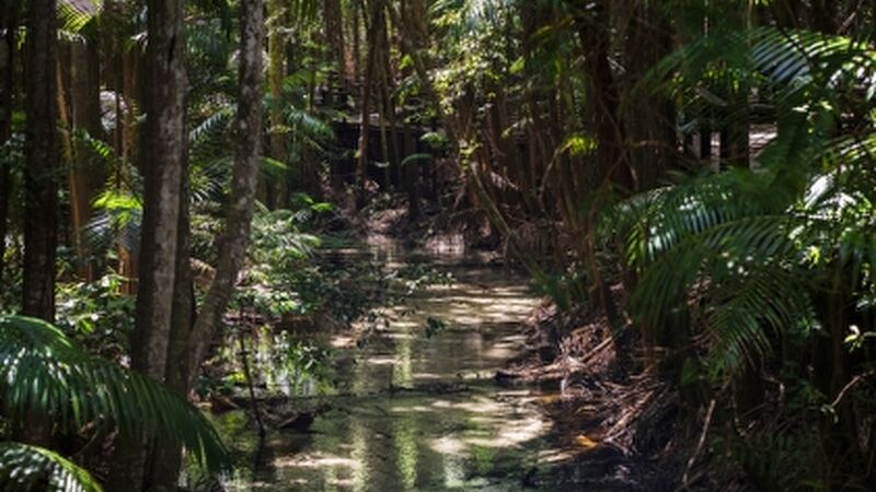 Miami & Orlando Turu Kıyı Rotaları THY ile