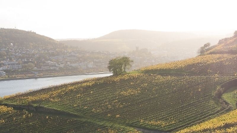 Ankara’dan Direkt Sefer İle Ren Nehri’nde Noel Pazarları SunExpress ile