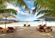 Elegant Bangkok & Phuket Turu THY ile 