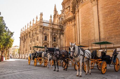 Endülüs'ün İncileri Granada & Cordoba & Sevilla Turu Pegasus ile