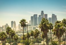 Dolu Dolu Los Angeles & Las Vegas & San Francisco Batı Amerika Rotası 