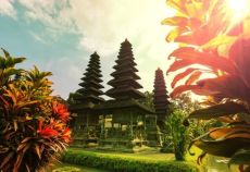 TT Plus Dolu Dolu Bali & Ubud Turu Rotası