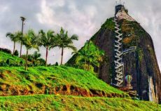 Panama & Kolombiya & Ekvador & Galapagos Adaları Turu Thy İle