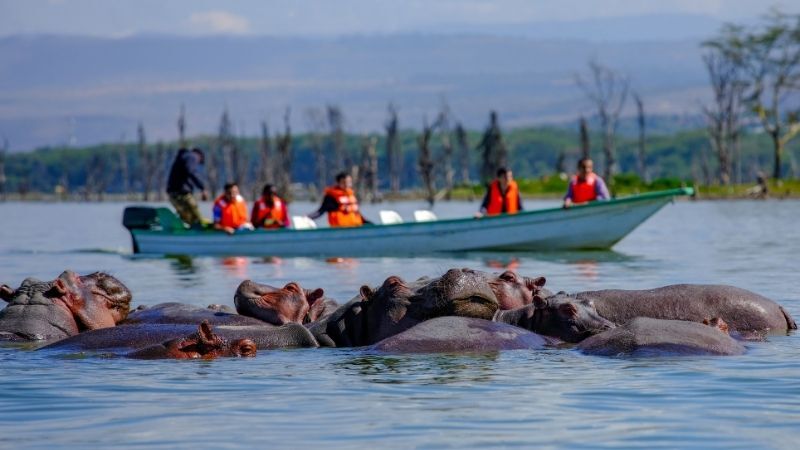 Kenya Safari Turu Her Pazar Hareket Air Arabia ile