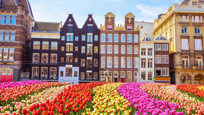 Amsterdam & Giethoorn ve Brugge Turu Pegasus ile