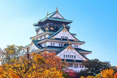 Elegant Japonya Turu All Nippon HY ile 