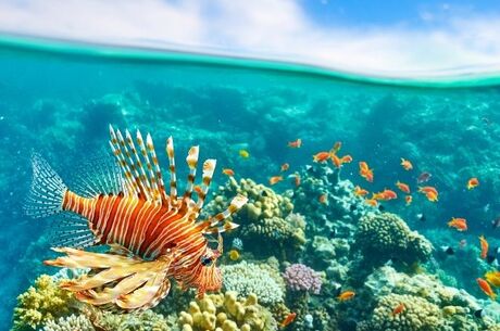 Ankara’dan Sharm El Sheikh & Kahire Turu Ara Tatil Özel AirCairo HY ile