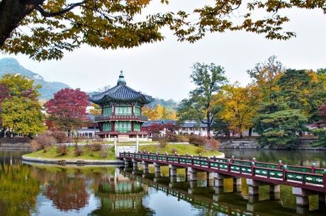 Japonya Kore Turu Asiana Havayolları İle  