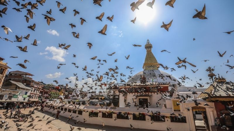 Nepal Turu Himalayalar 2026 Air Arabia ile 