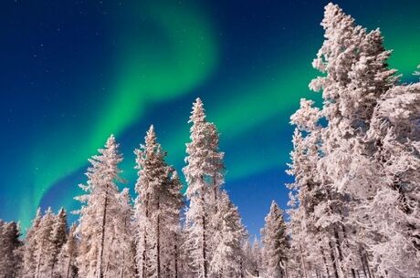 Dolu Dolu Lapland Beyaz Rotalar Çifte Yılbaşı Rotası Freebird Havayolları ile 