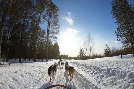 Ankara Çıkışlı Lapland Turu Sömestre Özel THY ile