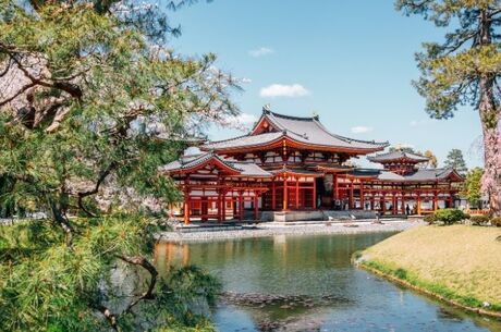 Dolu Dolu Direkt Sefer İle Japonya Turu Rotası Ana Air ile