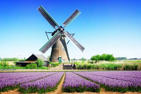 Mega Benelux & Paris & Köln & Alsace Turu Pegasus ile