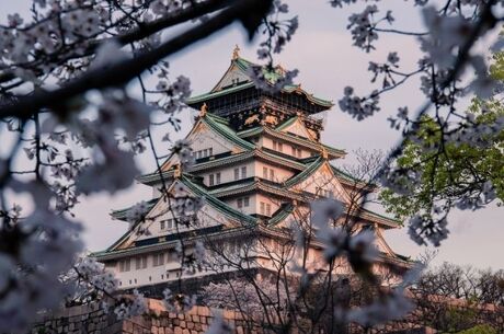 Mavi Japonya Okinawa'dan Tokyo'ya THY ile