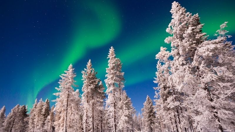 Tüm Turlar Dahil Büyüleyici Kuzey Işıkları & Lapland Turu THY ile