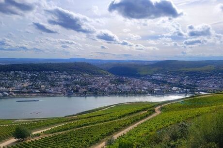 5* Deluxe Amadeus Cara İle Ren Nehri'nde Noel Pazarları Turu THY ile