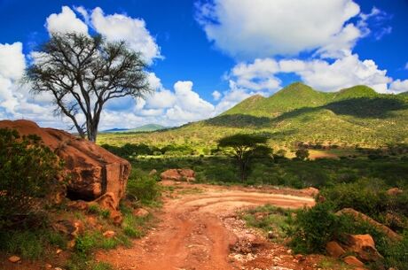 Ramazan Bayramı Özel Görkemli Güney Afrika ve Safari Turu THY ile