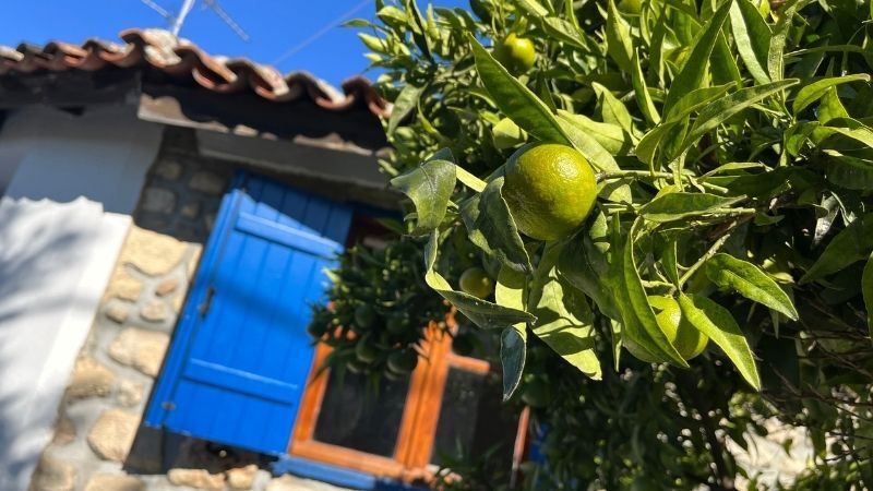 Halkidiki Paralia ve Thassos Masalı 2026