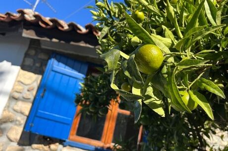 Otobüs ile İstanbul Hareketli Halkidiki Selanik Kavala Thassos Adası Turu