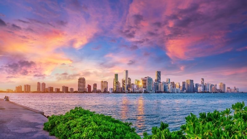 Miami Serüveni Turu Sömestr Dönemi