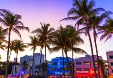 Miami Serüveni Turu Sömestr Dönemi