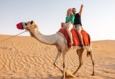 Adana'dan Dubai Turu Sömestre Özel THY İle