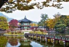 Elegant Güney Kore Qatar Havayolları ile