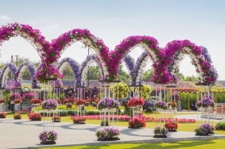 Antalya Hareketli Çölün Ortasındaki Vaha Dubai Turu Sunexpress İle 