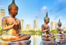 Dolu Dolu Doğa Harikası Sri Lanka Turu Rotası THY ile