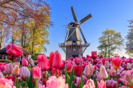 Ankara Çıkışlı Grand Benelux Paris Alsace Disneyland Turu (Tüm Turlar Dahil)