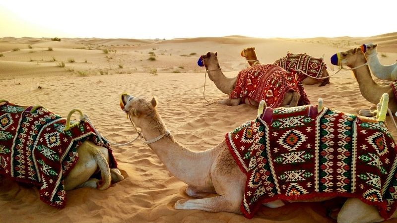 Çölün Ortasındaki Vaha Prestij Dubai Turu Fly Dubai ile (Dubai Şehir Turu Dahil) 